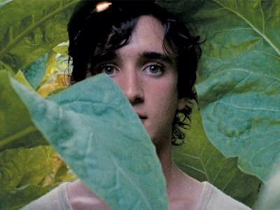 Happy as Lazzaro&nbsp;Review
